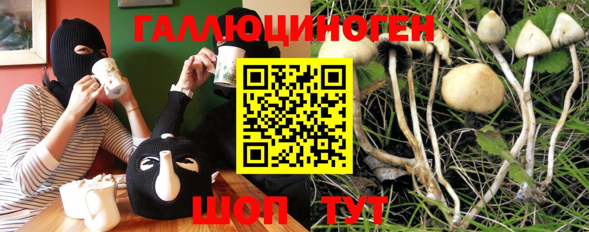 Псилоцибиновые грибы Cubensis Южно-Сахалинск