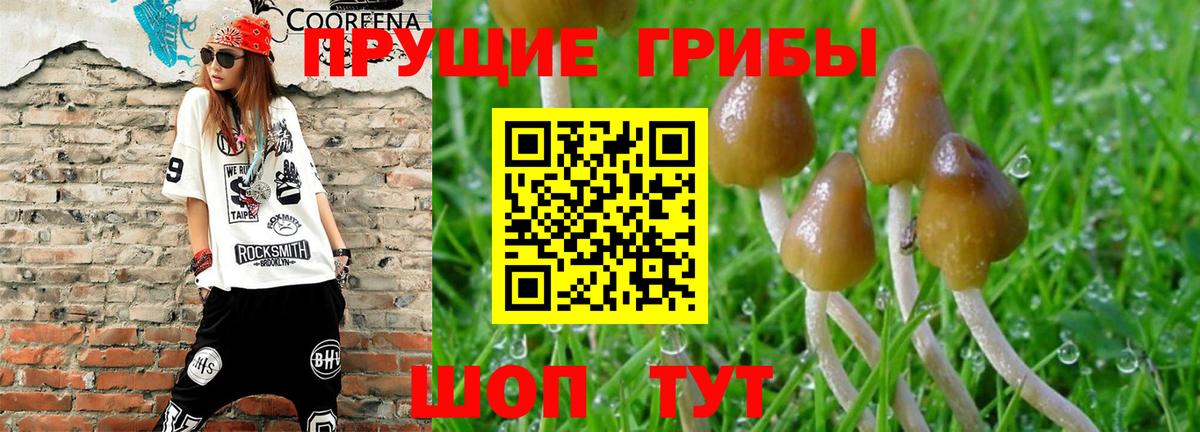 Южно-Сахалинск  Псилоцибиновые грибы Cubensis  как найти   Вход с VPN  Галлюциногенные грибы мицелий 